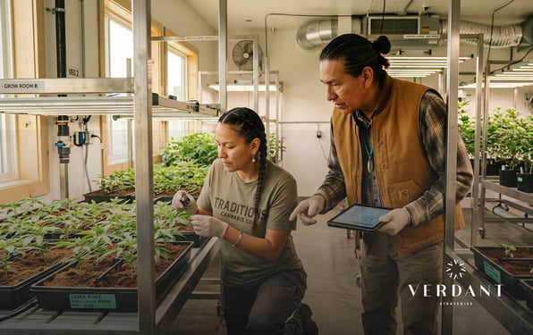 Cannabis cultivation team inspecting plants in an indoor grow facility using tablet-based tracking, representing tribal cannabis operations and multi-vertical business management