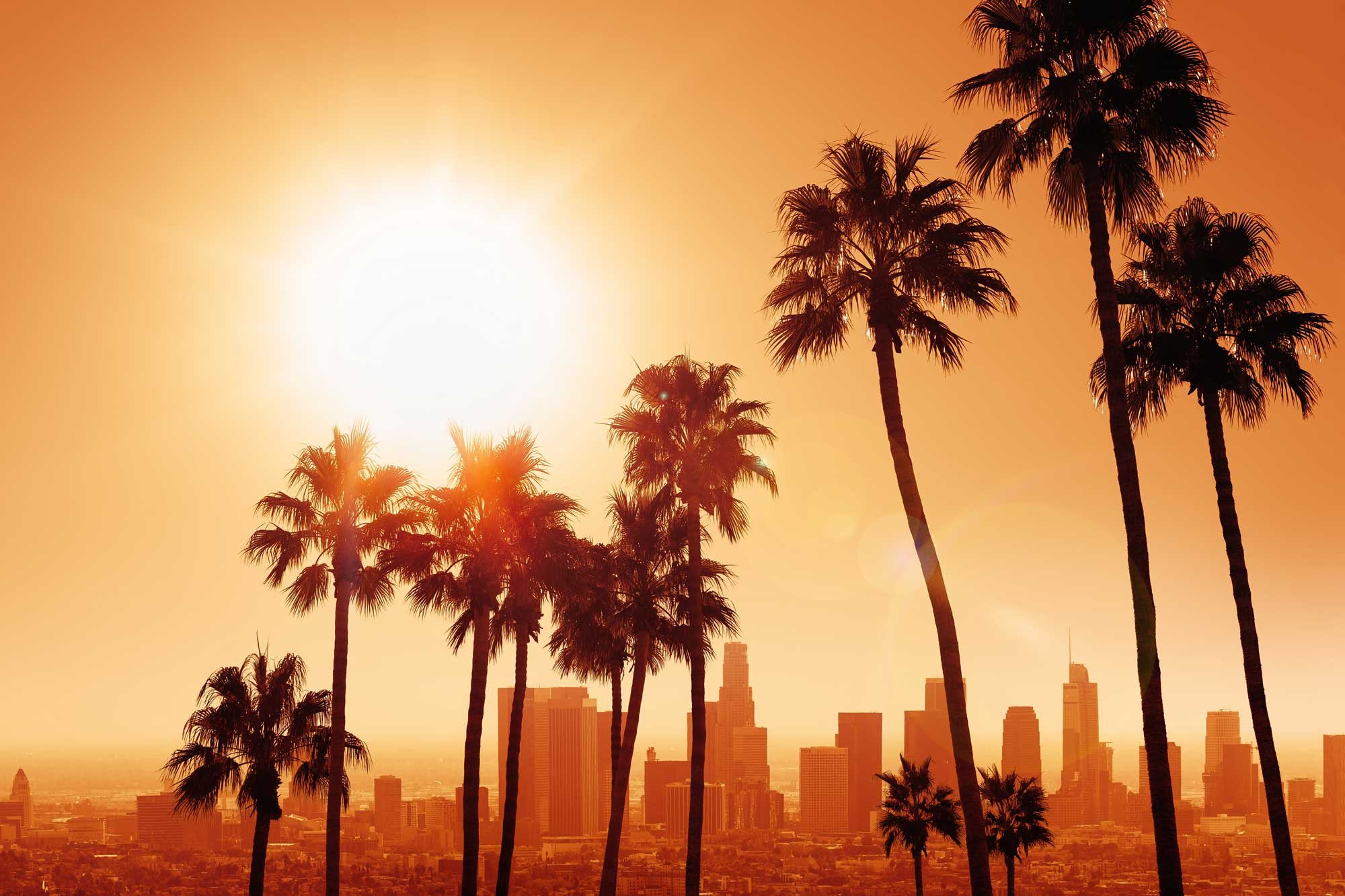 verdant-la-california