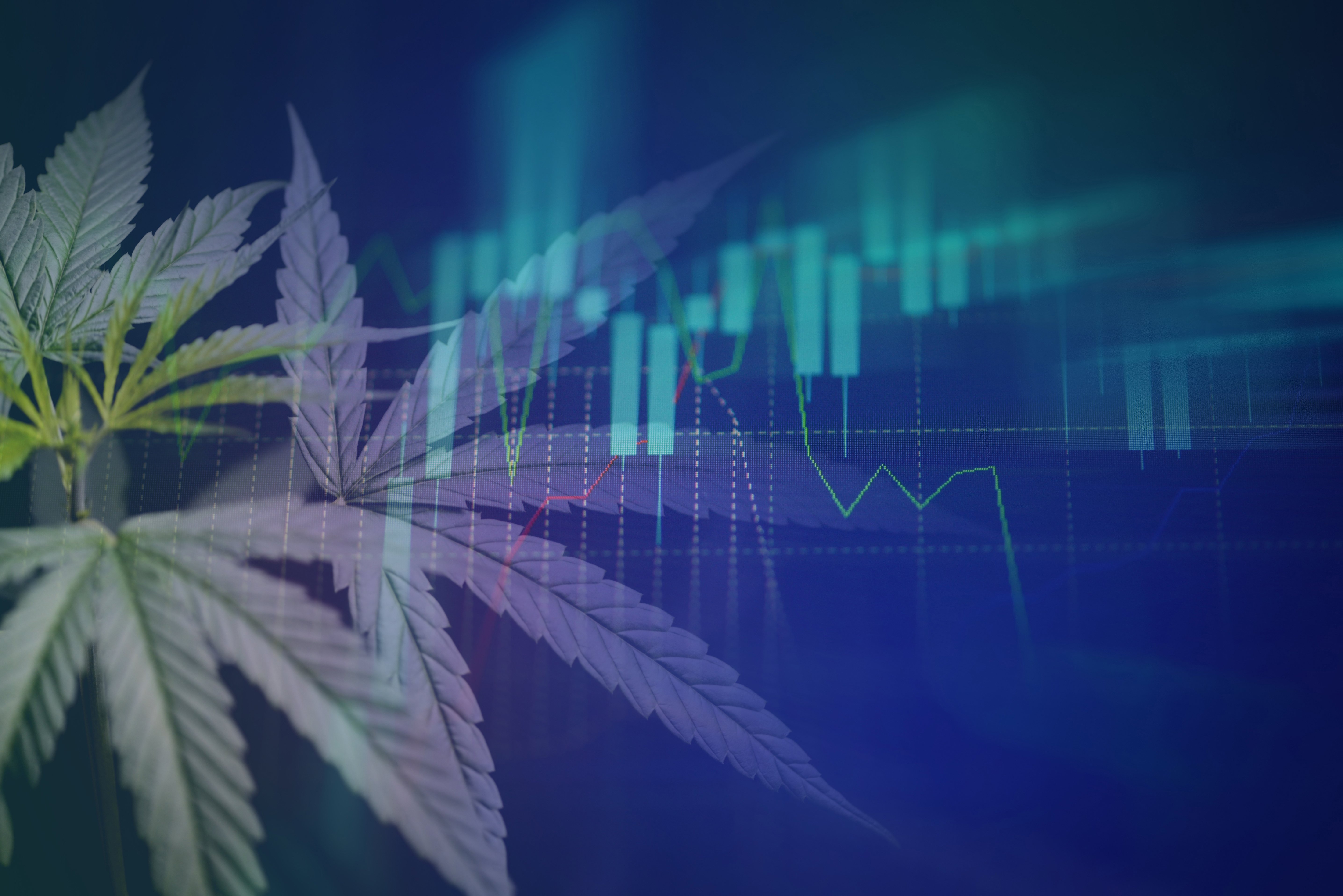 verdant-strategies-blog-partnership-first-finance-building-strategic-relationships-that-outlast-market-cycles-key-ingredients-of-strategic-financial-partnerships