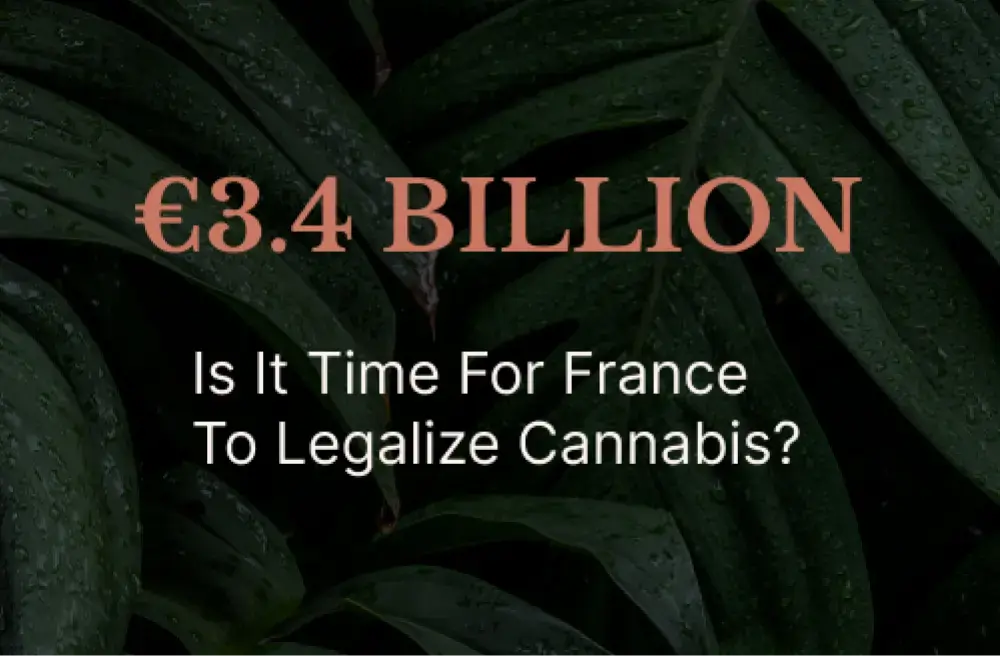 4 Billion - time for France to legalize?