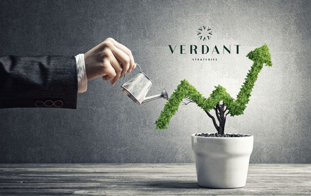 Learn how growth-stage cannabis businesses can build sustainable profitability through structure, clarity, and operational confidence.